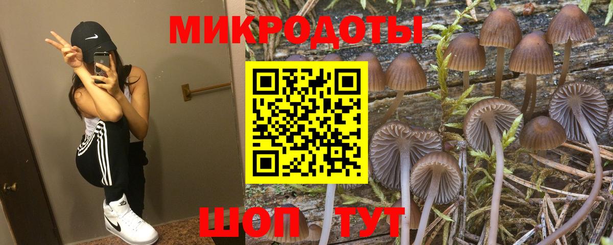 Галлюциногенные грибы MAGIC MUSHROOMS  Вход с VPN  Рязань 